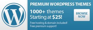 wordpress premium themes